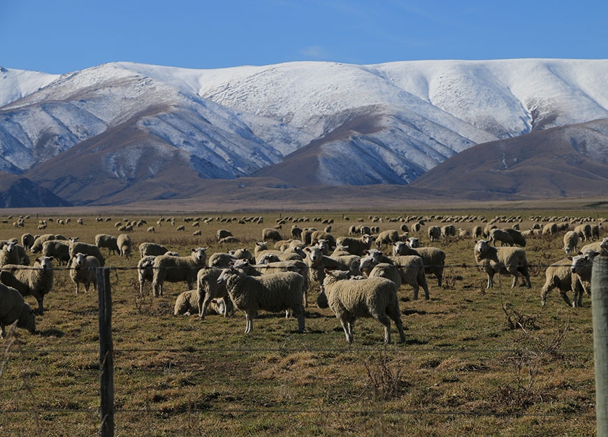 enjoy country-side living