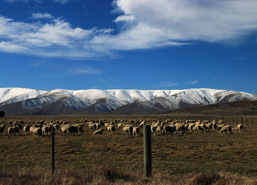 Waipiata town in Central Otago