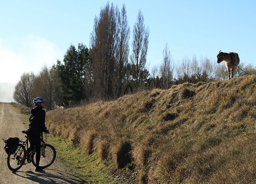 popular cycle trail runs between Clyde and Middlemarch